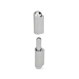 GN 128.2 Stainless Steel Hinges for Welding Material: NI - Stainless steel