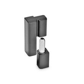GN 161.2 Hinges, Zinc Die Casting, Detachable Color: SW - Black, RAL 9005, textured finish<br />Type: R - Fixed bearing (pin) right