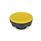 GN 636 Volantini di serraggio a stella, plastica, boccola acciaio / ottone Tipo: E - Con foro cieco filettato
Colore: DGB - Giallo, RAL 1021, finitura mat