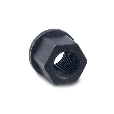 Hex Nuts DIN 6331: Steel, with Collar