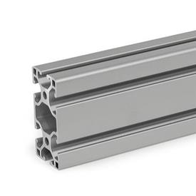 GN 10i Aluminum Profiles, i-Modular System, with Open Slots on All Sides, Profile Type Light Profile size: I-30606L<br />Finish: N - Anodized, natural color