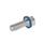GN 1581 Screws, Stainless Steel, Low-Profile Head, Hygienic Design Finish: MT - Matte finish (Ra < 0.8 µm)
Material (Sealing ring): F - FKM