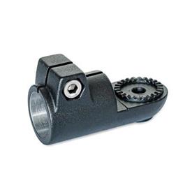 GN 276 Swivel Clamp Connectors, Aluminum Type: AV - With external serration<br />Finish: SW - Black, RAL 9005, textured finish