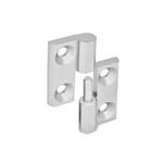 Stainless Steel Hinges, Detachable