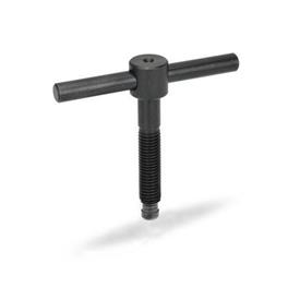 DIN 6304 Tommy Screws, with Fixed Bar Type: E - Without thrust pad