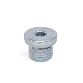 DIN 908 Threaded Plugs, Steel / Stainless Steel, with Collar and Internal Hex Material: ST - Steel<br />Type: AN - With sealing ring in stainless steel