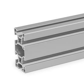 GN 10b Perfiles de aluminio, sistema modular-b, con ranuras abiertas en todos los lados, perfil tipo pesado Tamaño del perfil: B-30608S<br />Acabado: N - Anodizado, color natural
