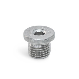 DIN 908 Threaded Plugs, Steel / Stainless Steel, with Collar and Internal Hex Material: A4 - Stainless steel<br />Type: A - Without sealing ring