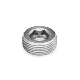 GN 252.5 Blanking Plugs, Stainless Steel Type: A - Without thread coating