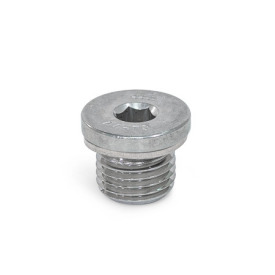 DIN 908 Threaded Plugs, Steel / Stainless Steel, with Collar and Internal Hex Material: A4 - Stainless steel<br />Type: AN - With sealing ring in stainless steel