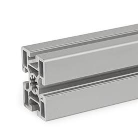GN 10b Perfiles de aluminio, sistema modular-b, con ranuras abiertas en todos los lados, perfil tipo pesado Tamaño del perfil: B-456010S<br />Acabado: N - Anodizado, color natural