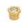 GN 743.8 Spie di livello olio, ottone, con filettatura conica, fino a 180 °C Tipo: A - Con riflettore