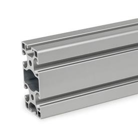 GN 10i Aluminum Profiles, i-Modular System, with Open Slots on All Sides, Profile Type Light Profile size: I-40808L<br />Finish: N - Anodized, natural color