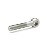 Stainless Steel Swing Bolts with Long Threaded Bolt