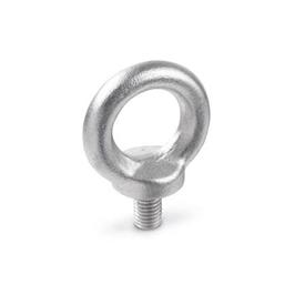 DIN 580 Lifting Eye Bolts, Stainless Steel 