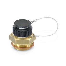 GN 880 Oil Drain Valves Material: MS - Brass