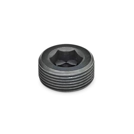 GN 252 Blanking Plugs, Steel Type: A - Without thread coating