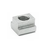 Stainless Steel T-Nuts