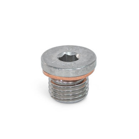 DIN 908 Tapones roscados, acero / acero inoxidable, con brida y hueco hexagonal interior Material: A4 - Acero inoxidable<br />Tipo: AC - con junta anular de cobre