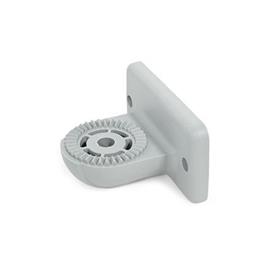 GN 272.9 Swivel Clamp Connector Bases, Plastic Type: AV - With external serration<br />Color: GR - Gray, RAL 7040, matt finish<br />x<sub>1</sub>: 40