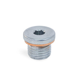 DIN 908 Threaded Plugs, Steel / Stainless Steel, with Collar and Internal Hex Material: ST - Steel<br />Type: AC - With sealing ring in copper