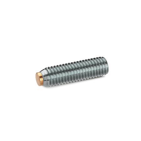 GN 913.5 Grub Screws with Brass / Plastic Pivot, Stainless Steel Material (pivot): MS - Brass