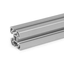 GN 10b Aluminum Profiles, b-Modular System, with Open Slots on All Sides, Profile Type Light Profile size: B-404010L<br />Finish: N - Anodized, natural color