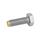 GN 933.5 Hex Head Screws, Stainless Steel Type: MS - Brass pivot