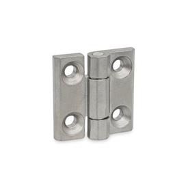 GN 237.3 Heavy Duty Hinges, Stainless Steel Type: A - With Bores for Countersunk Screws<br />Finish: GS - Matte shot-blasted finish