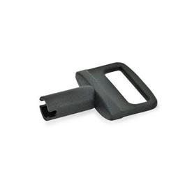 GN 816.1 Key for Locking Plungers 